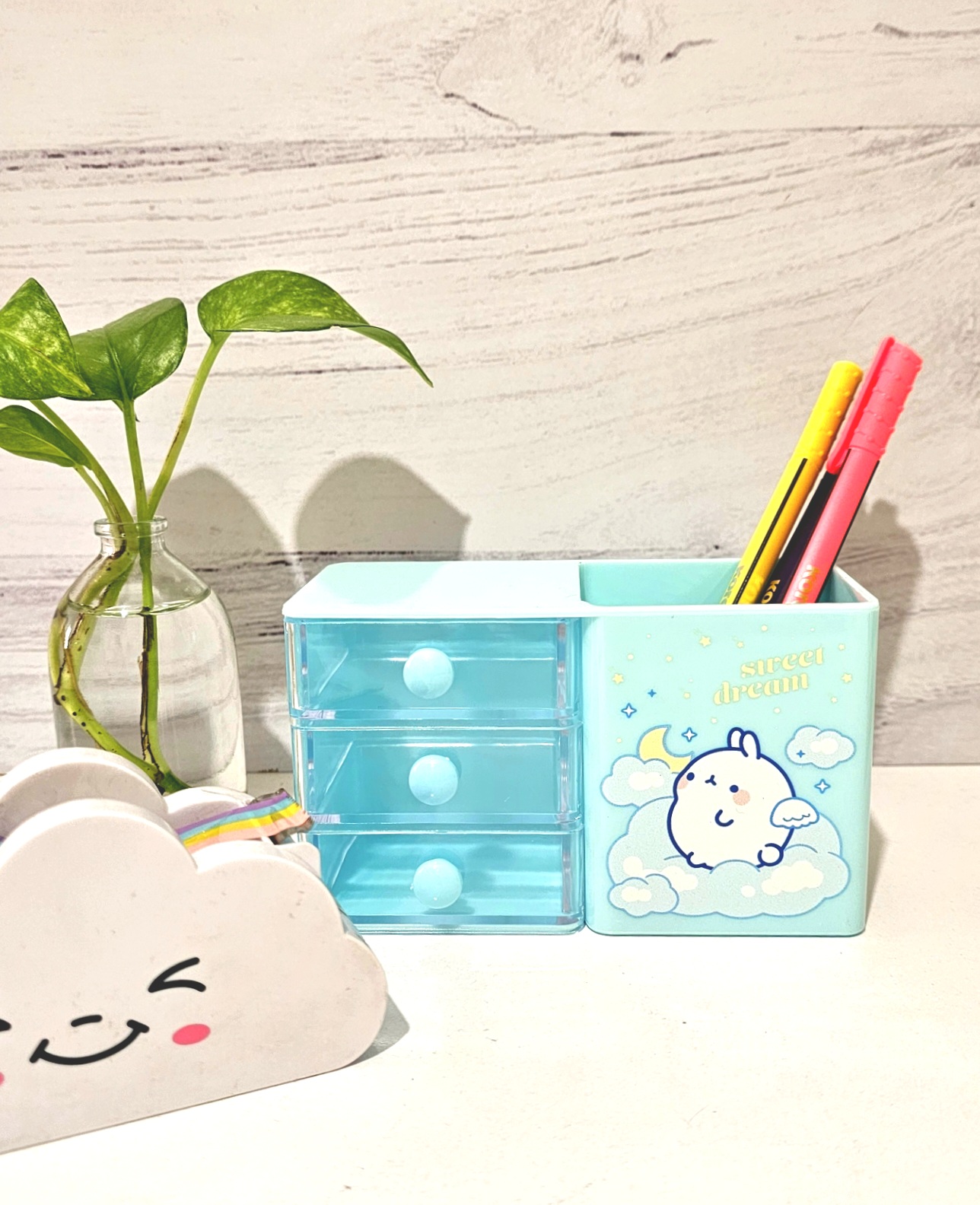 جاقلمی رومیزی کشو دار طرح مولان