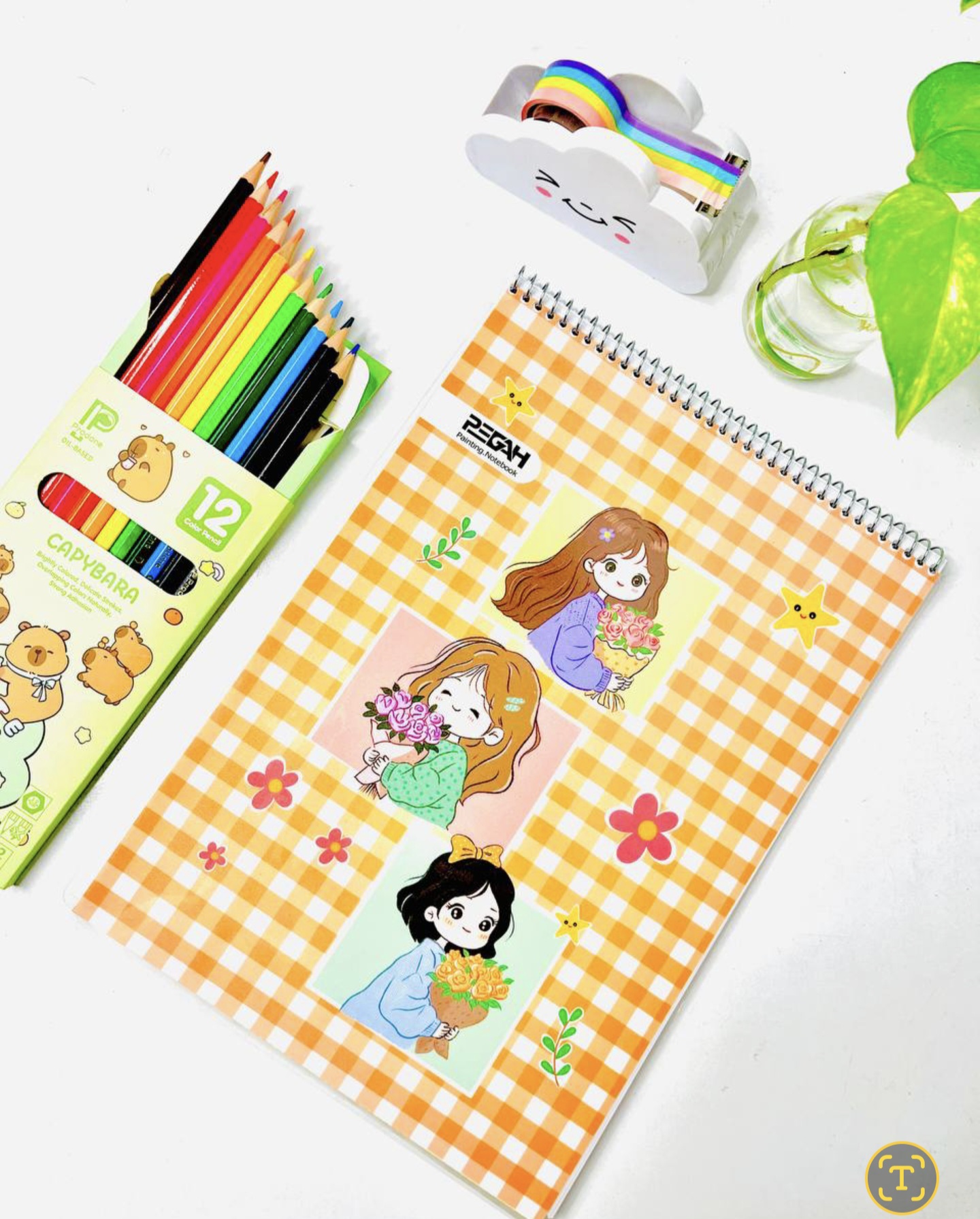 دفتر نقاشی سیمی آ۴ ، جلد طلقی، برند پگاه